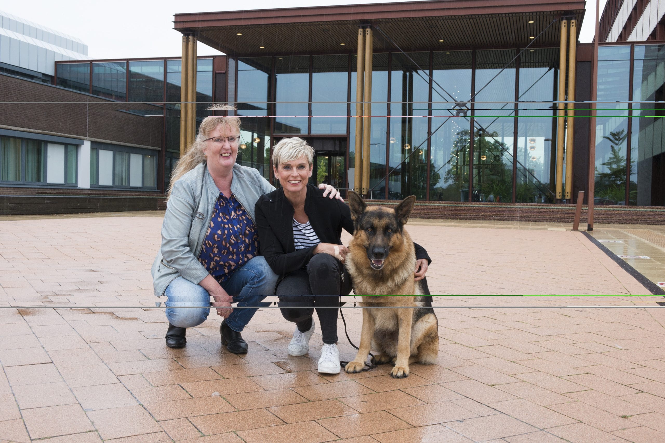 ”Huisdieren op ziekenbezoek” als proef bij VieCuri - Ondernemend Venlo